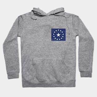 Old World 14 Stars front/back Hoodie